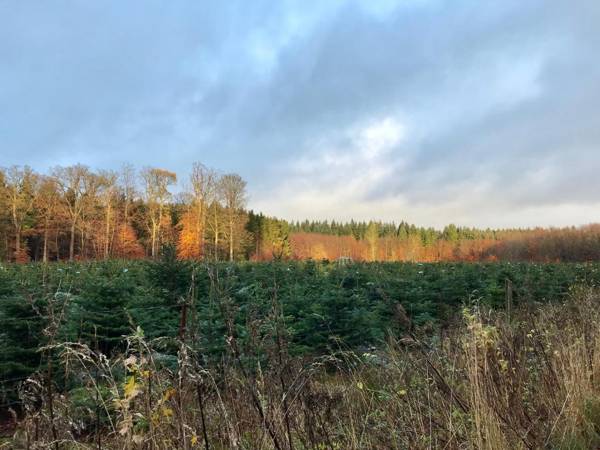 Vemmetofte Præstegård