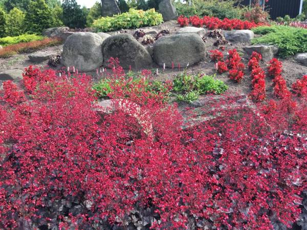 Birkende Bed and Breakfast