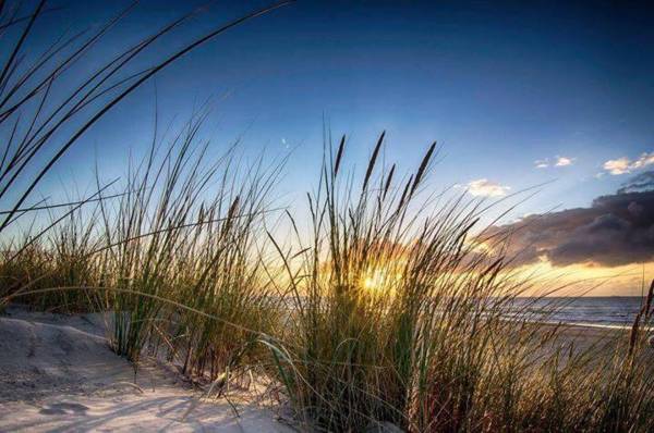 Sellebjerg Apartment