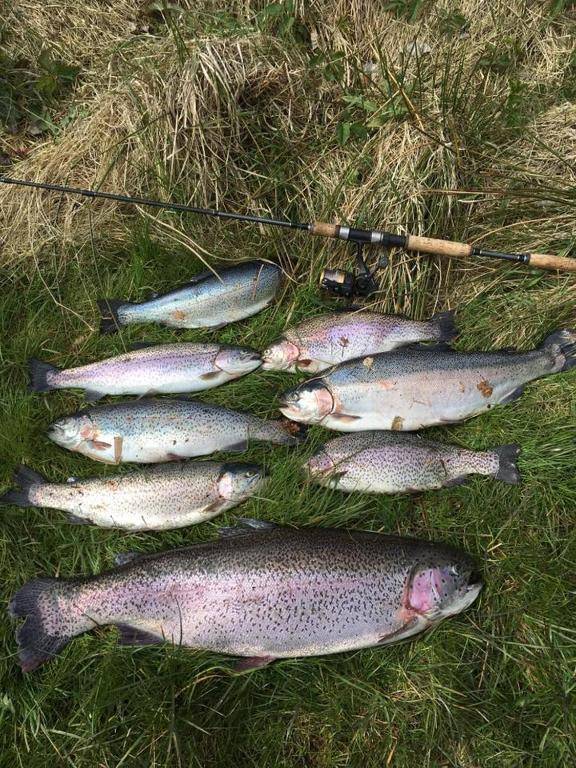 Himmerlands Fiskepark & Camping