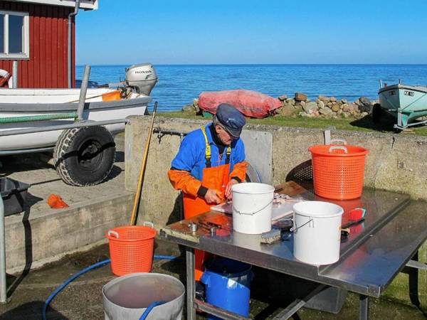 Elite Holiday Home in Zealand Denmark with Swimming Pool