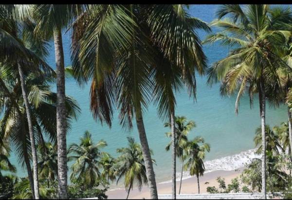 Perfect Paradise Oceanview in Samana