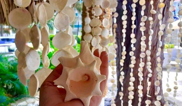 Bungalow 6 Cozy room at just steps from the beach and in town center