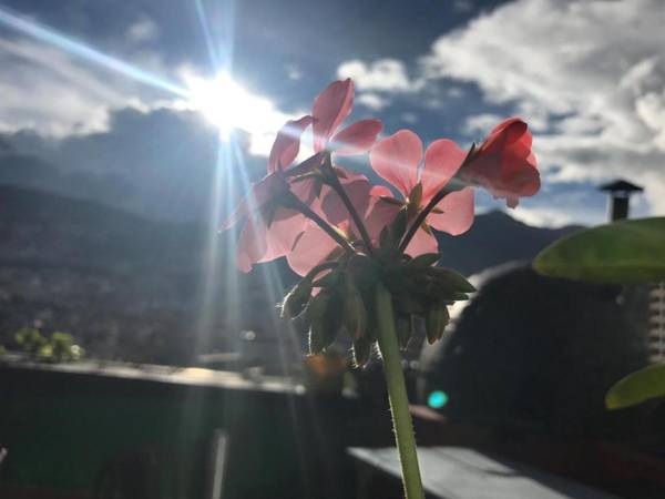 La Guayunga Hostel Quito