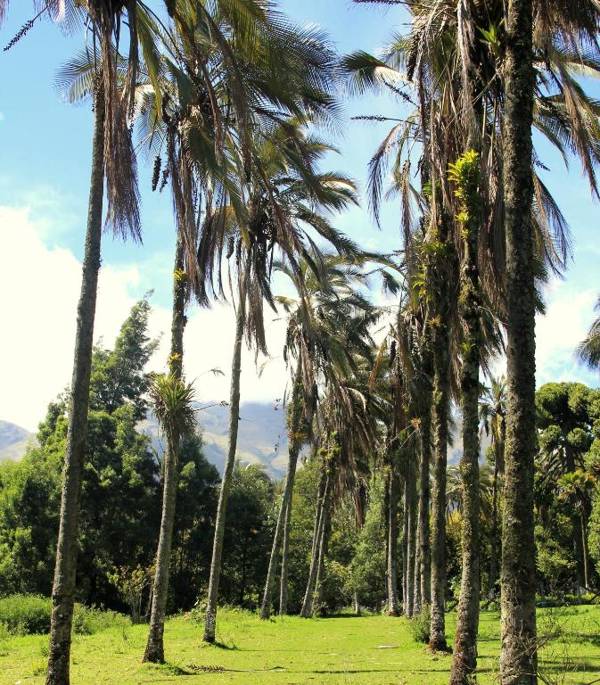 Hostería Hacienda Pinsaqui