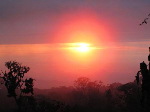 Birdwatchers House y Lodge