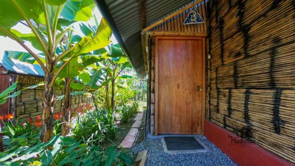 The Mudhouse Hostel Mompiche
