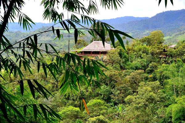 Terrabambu Lodge