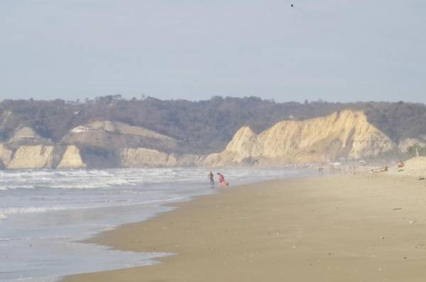 Jardin Pacifico Bungalow Room
