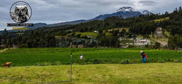 Cuscungo Cotopaxi Hostel & Lodge