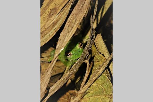 SIERRA VERDE-casa vacacional