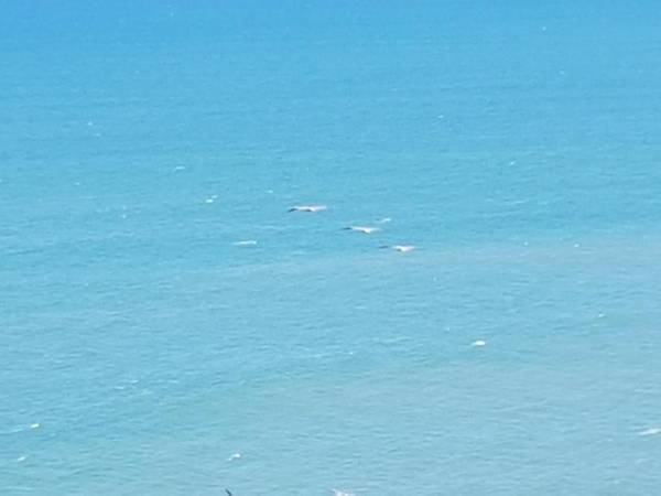 Departamento frente al mar Grand Diamond