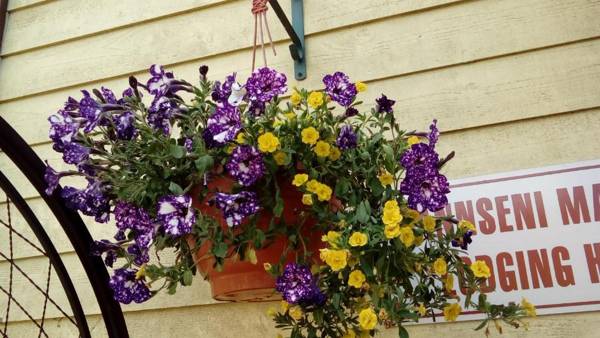 Jannseni Accommodation