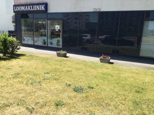 Papiniidu Studio Apartments