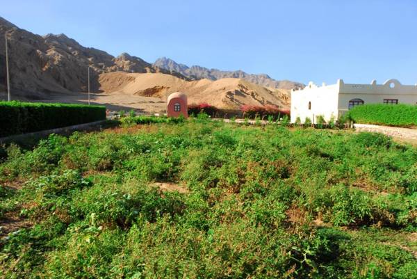 Tropitel Dahab Oasis