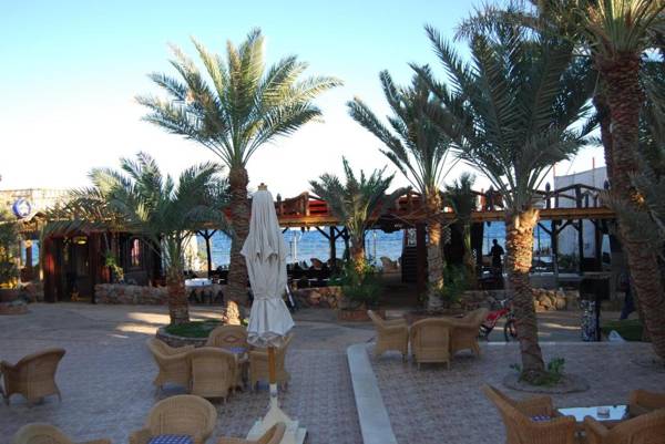 Acacia Dahab Hotel