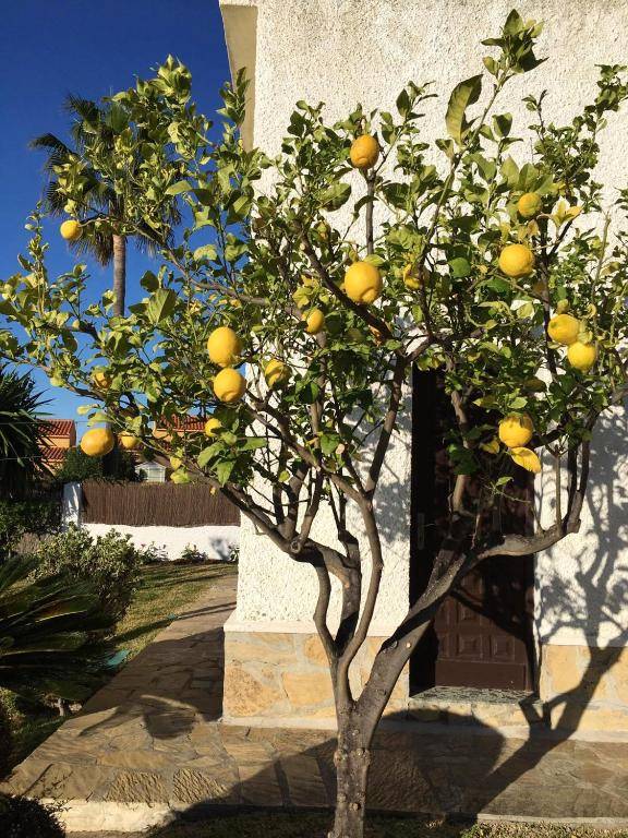 3 bedrooms villa at Benajarafe 300 m away from the beach with sea view private pool and enclosed garden