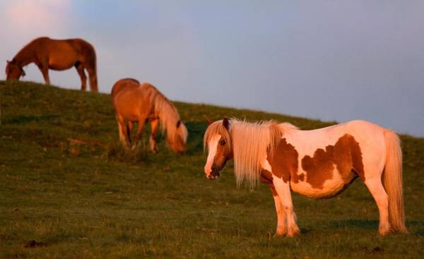 Casa Rural Zigako Etxezuria