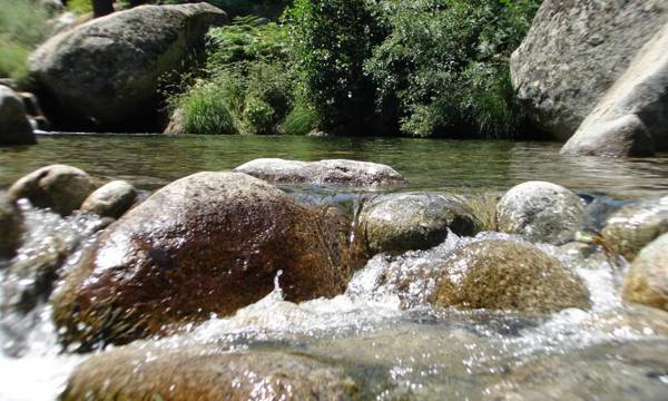 Puente Canto de Gredos
