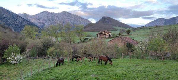 El Refugio de Otto