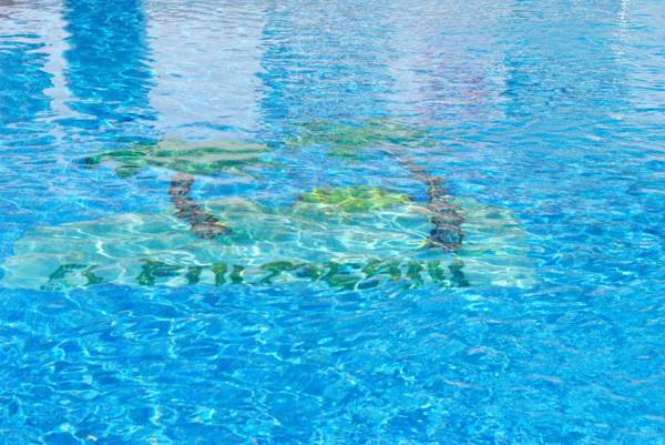 Apartamentos El Palmeral