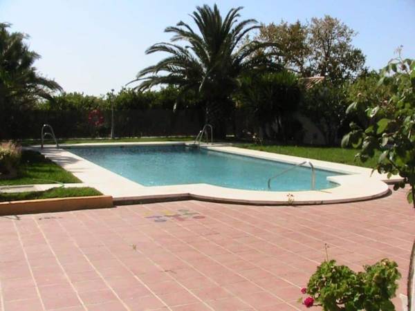 Finca La Tacita - Petunia