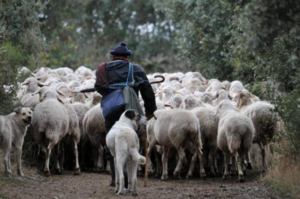 Posada Real La Mula de los Arribes