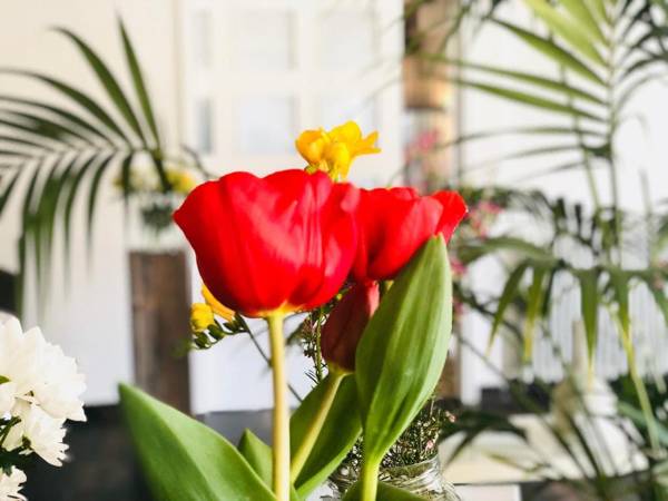 Hotel & Restaurant Figueres Parc