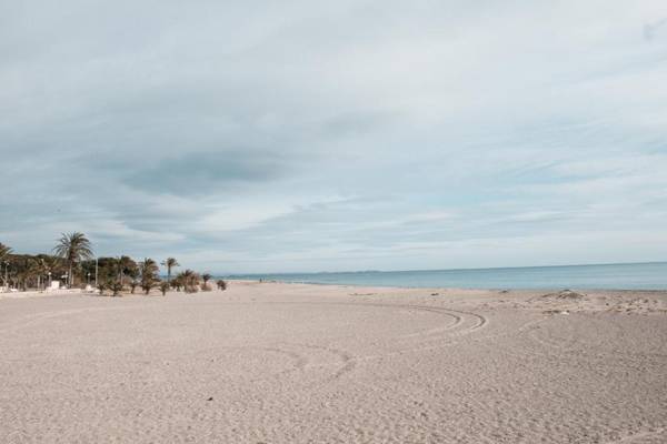 Hauzify I Apartament Oliveres