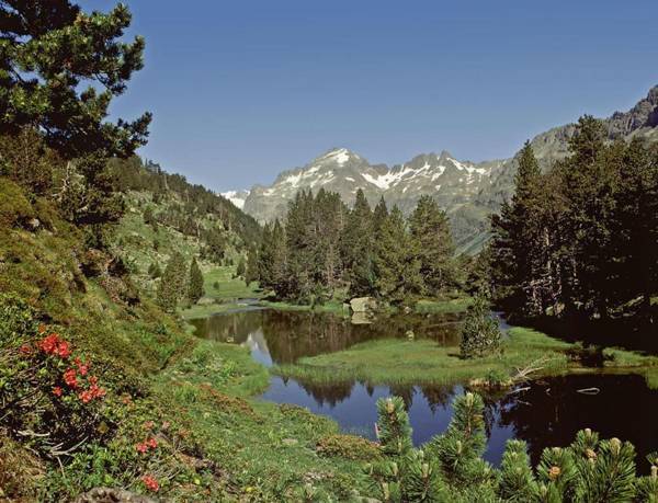 Luxury House Valencia D'Aneu