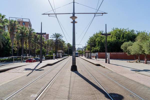 MD Horticultor Galán