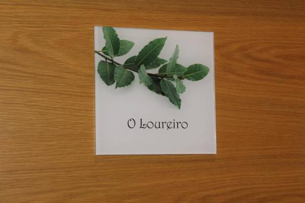 A Carballeira do Tambre