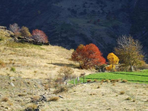 Hotel La Fragua I