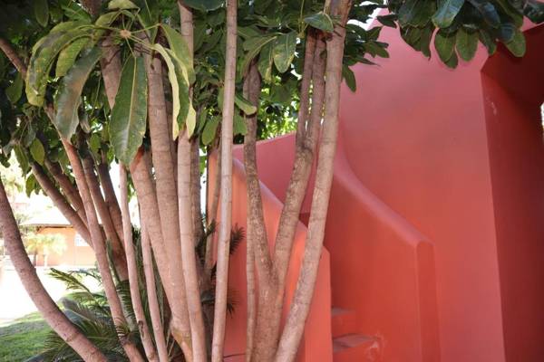 Penthouse Punta del Faro Casasol