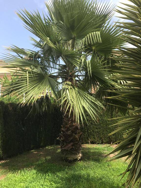 Apartment Altos De La Bahia X