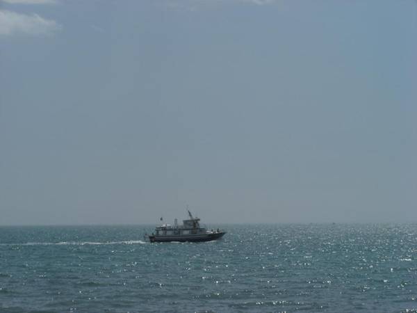 Owner Solidarity - reduction of prices - 5