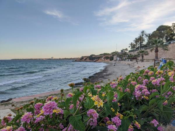 OASIS BEACH apartments