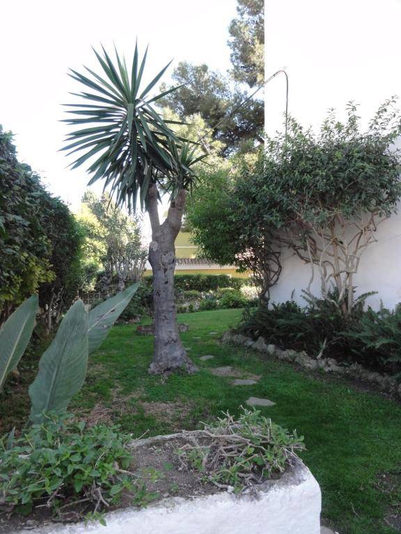 Apartamentos Elysium