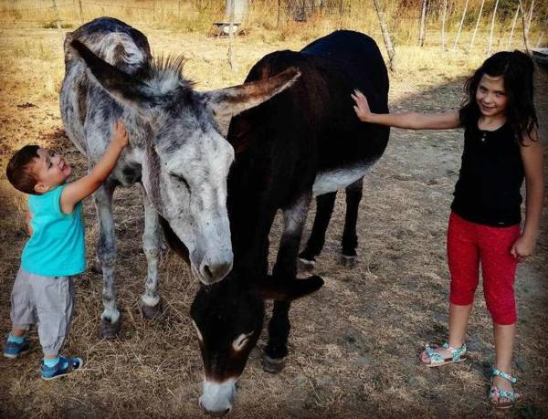 Agroturismo El Mirador de la Cigüeña