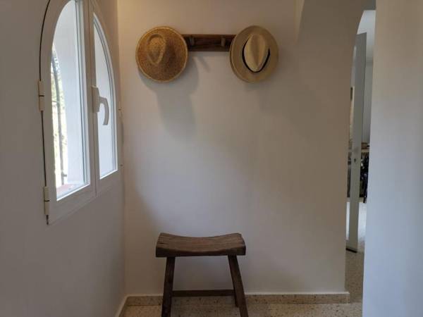 Sun & Sea - La Sirenita