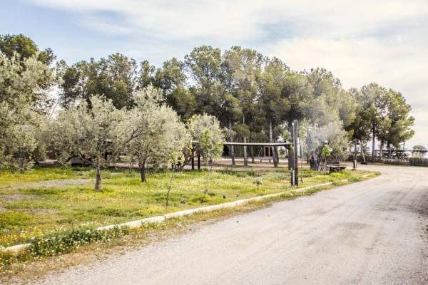 Alojamientos Rurales los Albardinales