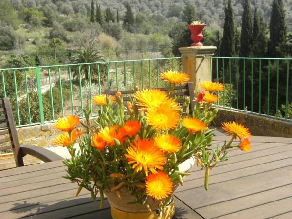 Agroturisme Finca Sa Maniga