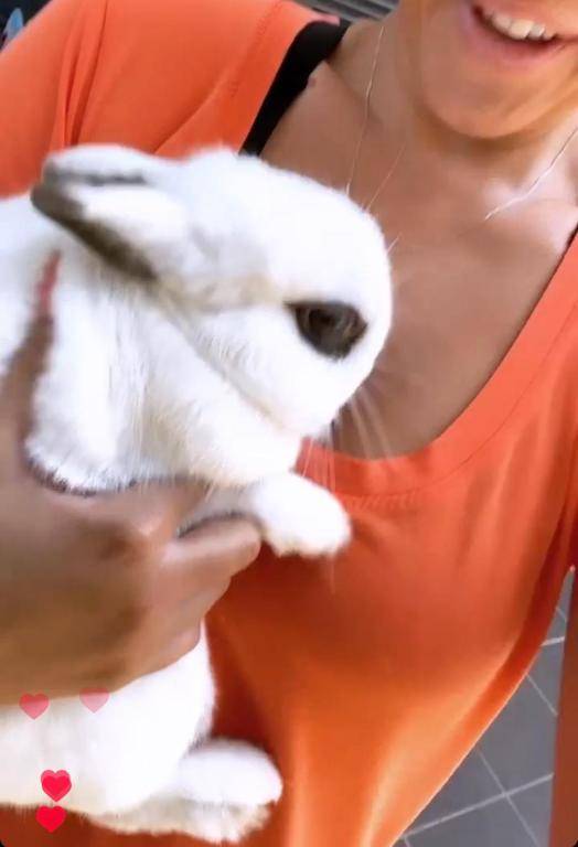 Luxury Apartment in Sitges City