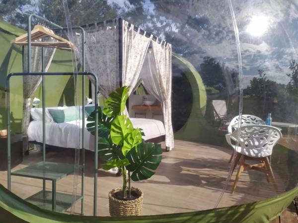 REMANSO DE TRASFONTAO Casa das Árbores & Bubble