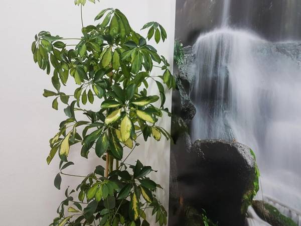 Sleeping Sarria Hostel