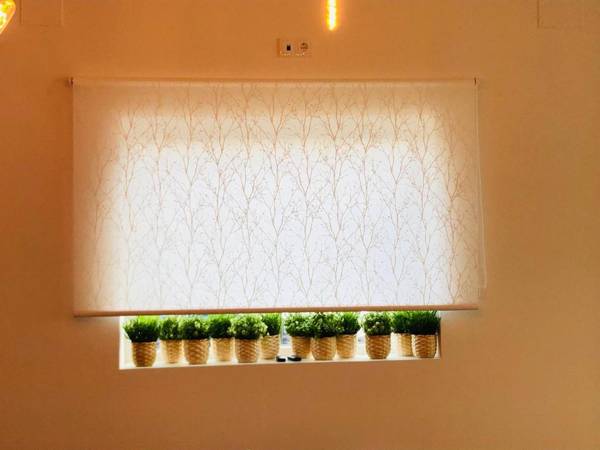 Albergue de Peregrinos SIXTOs no Caminho NO BIKE STORAGE