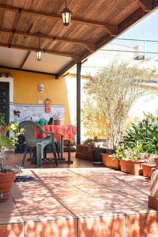 Live La Laguna Casita Vieja