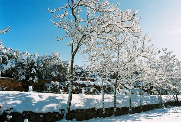 Casa Rural Pernales II