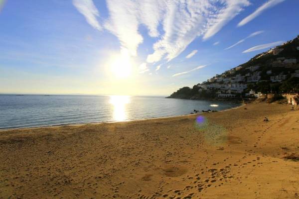 Leon Inmo Moli Blau 201 - 10320