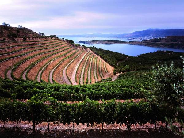 Fantastico studio vista mare 5mn dalla spiaggia - Casa ArteVida